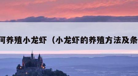 如何养殖小龙虾（小龙虾的养殖方法及条件）