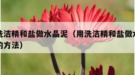 用洗洁精和盐做水晶泥（用洗洁精和盐做水晶泥的方法）