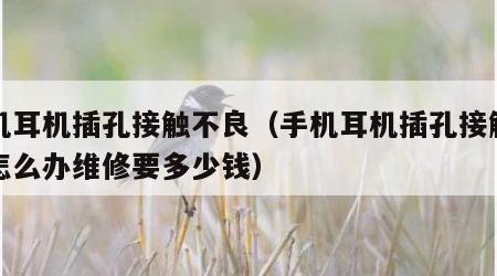 手机耳机插孔接触不良（手机耳机插孔接触不良怎么办维修要多少钱）