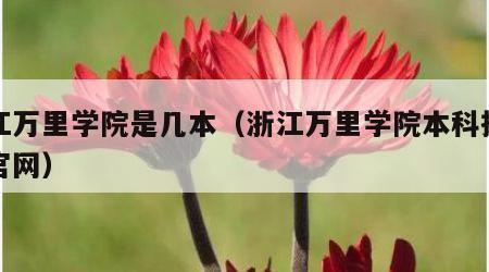 浙江万里学院是几本（浙江万里学院本科招生网官网）