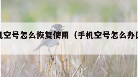 手机空号怎么恢复使用（手机空号怎么办回来）