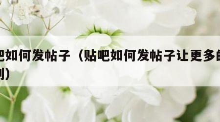 贴吧如何发帖子（贴吧如何发帖子让更多的人看到）