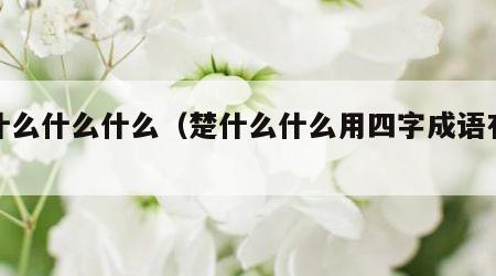 楚什么什么什么（楚什么什么用四字成语有哪些）