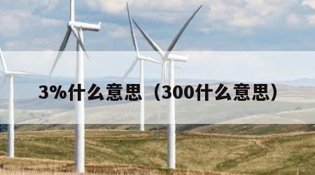 3%什么意思（300什么意思）