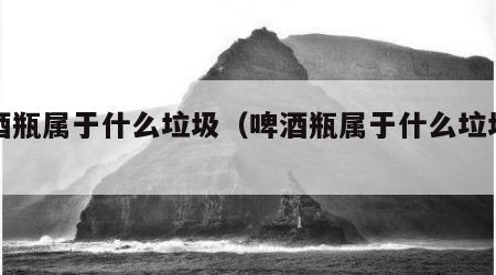啤酒瓶属于什么垃圾（啤酒瓶属于什么垃圾分类）