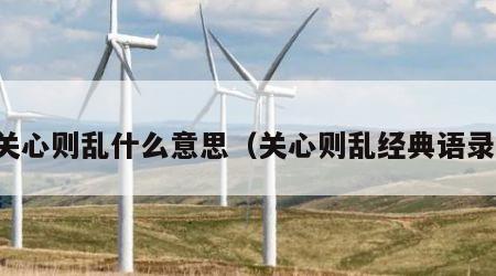 关心则乱什么意思（关心则乱经典语录）