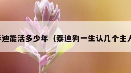 泰迪能活多少年（泰迪狗一生认几个主人）