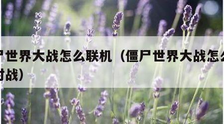 僵尸世界大战怎么联机（僵尸世界大战怎么联机对战）