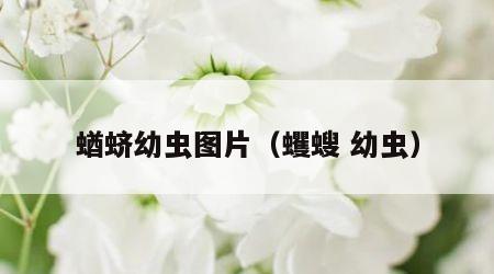 蝤蛴幼虫图片（蠼螋 幼虫）