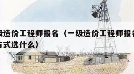 一级造价工程师报名（一级造价工程师报名办理方式选什么）