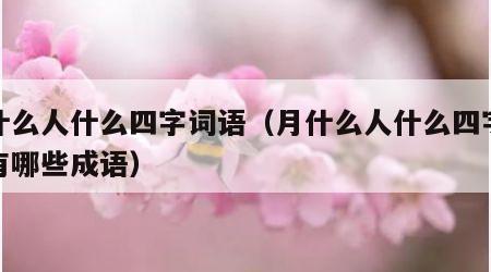 月什么人什么四字词语（月什么人什么四字词语有哪些成语）