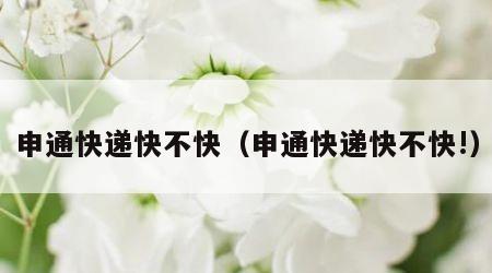 申通快递快不快（申通快递快不快!）