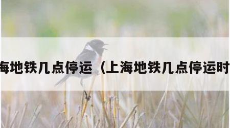 上海地铁几点停运（上海地铁几点停运时间）
