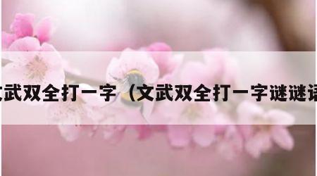 文武双全打一字（文武双全打一字谜谜语）