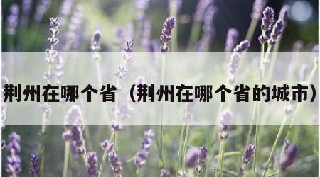 荆州在哪个省（荆州在哪个省的城市）