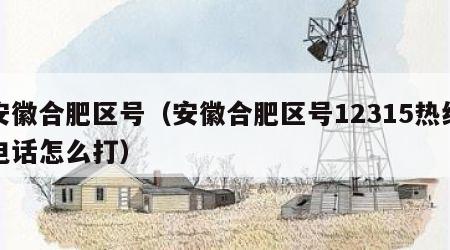 安徽合肥区号（安徽合肥区号12315热线电话怎么打）