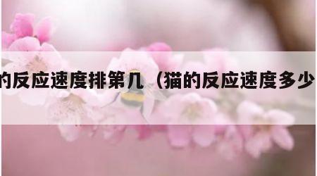 猫的反应速度排第几（猫的反应速度多少ms）