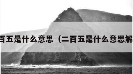 二百五是什么意思（二百五是什么意思解释）