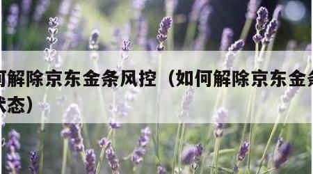 如何解除京东金条风控（如何解除京东金条风控状态）