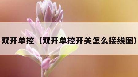 双开单控（双开单控开关怎么接线图）