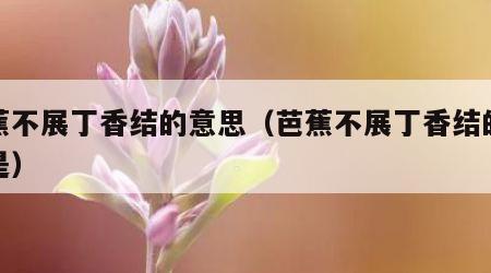 芭蕉不展丁香结的意思（芭蕉不展丁香结的意思是）