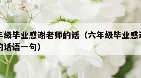 六年级毕业感谢老师的话（六年级毕业感谢老师的话语一句）