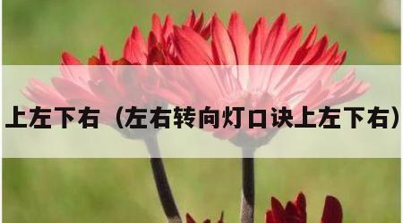 上左下右（左右转向灯口诀上左下右）