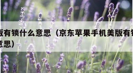 美版有锁什么意思（京东苹果手机美版有锁什么意思）