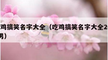 吃鸡搞笑名字大全（吃鸡搞笑名字大全2018男）