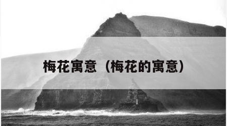 梅花寓意（梅花的寓意）