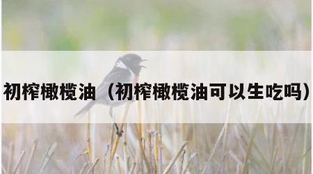 初榨橄榄油（初榨橄榄油可以生吃吗）