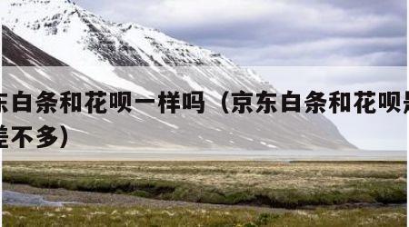 京东白条和花呗一样吗（京东白条和花呗是不是差不多）