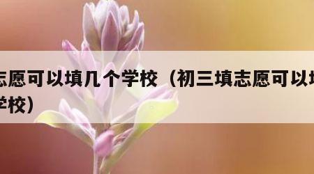 填志愿可以填几个学校（初三填志愿可以填几个学校）