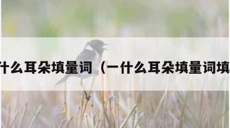 一什么耳朵填量词（一什么耳朵填量词填空）