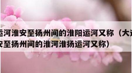 大运河淮安至扬州间的淮阳运河又称（大运河淮安至扬州间的淮河淮扬运河又称）