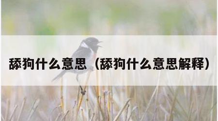 舔狗什么意思（舔狗什么意思解释）