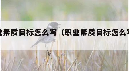 职业素质目标怎么写（职业素质目标怎么写范文）