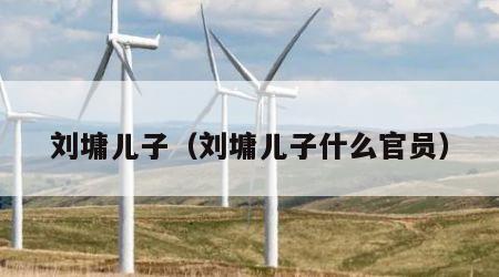 刘墉儿子（刘墉儿子什么官员）