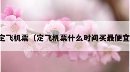 定飞机票（定飞机票什么时间买最便宜）