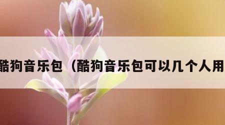 酷狗音乐包（酷狗音乐包可以几个人用）