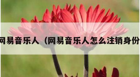 网易音乐人（网易音乐人怎么注销身份）