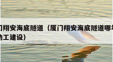 厦门翔安海底隧道（厦门翔安海底隧道哪年正式动工建设）
