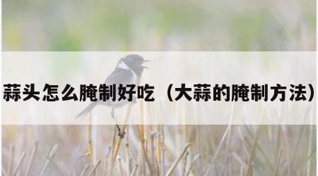 蒜头怎么腌制好吃（大蒜的腌制方法）