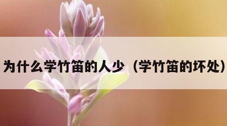 为什么学竹笛的人少（学竹笛的坏处）