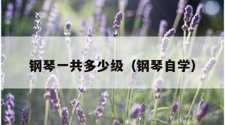 钢琴一共多少级（钢琴自学）