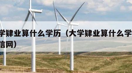 大学肄业算什么学历（大学肄业算什么学历 学信网）