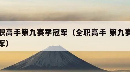 全职高手第九赛季冠军（全职高手 第九赛季冠军）