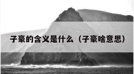 子豪的含义是什么（子豪啥意思）