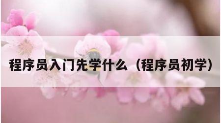 程序员入门先学什么（程序员初学）