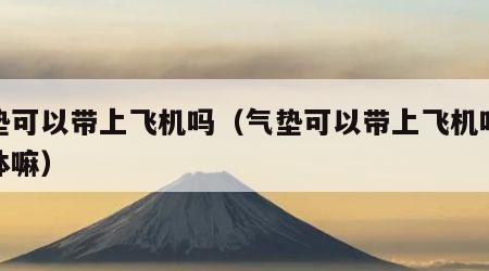 气垫可以带上飞机吗（气垫可以带上飞机吗算液体嘛）